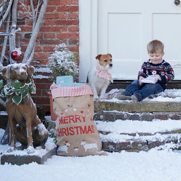 Christmas Dog Sack