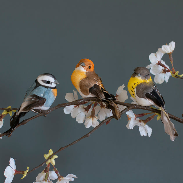 Garden Bird on a Clip