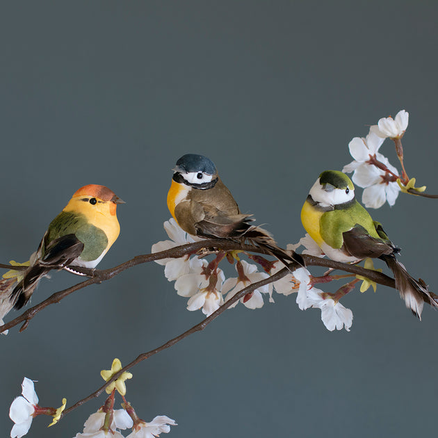 Garden Bird on a Clip