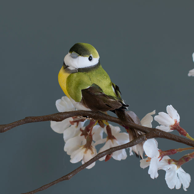 Garden Bird on a Clip