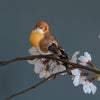 Garden Bird on a Clip