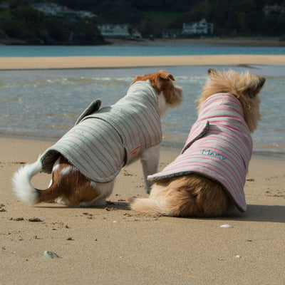 Dog Coats