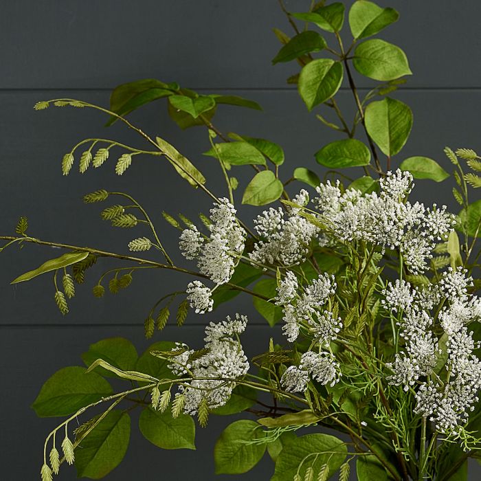Close view of the cow parsley blooms and summer leaf stems