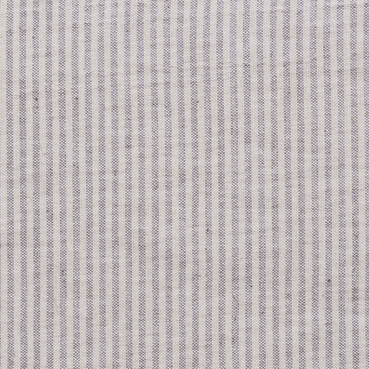 Charcoal Beech Piping Stripe Cotton – Double Width - A32