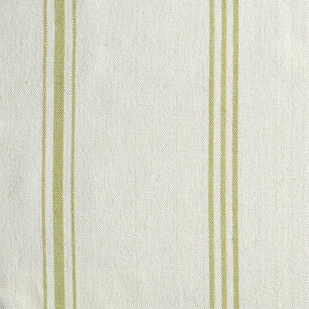 Swatch of Ivory Green Vintage Stripe