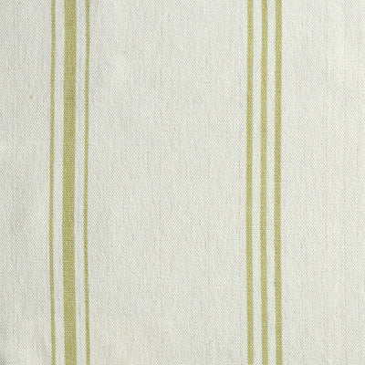 Small Non Returnable Sample Ivory Green Vintage Stripe