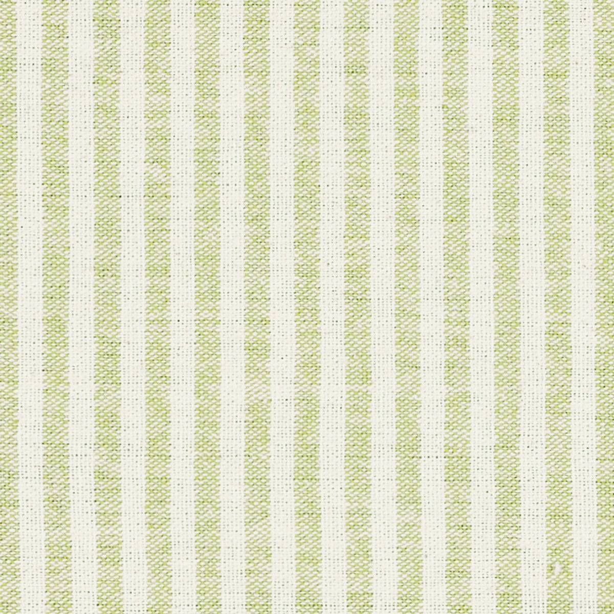 Small Non Returnable Sample of Green Ivory Stripe