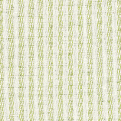 Small Non Returnable Sample of Green Ivory Stripe