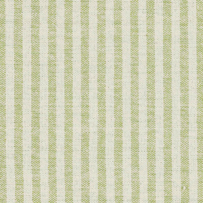 Green Ivory Stripe Cotton – Double Width – 227