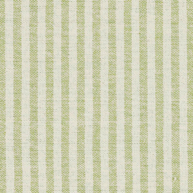 Green Ivory Stripe Cotton – Double Width – 227