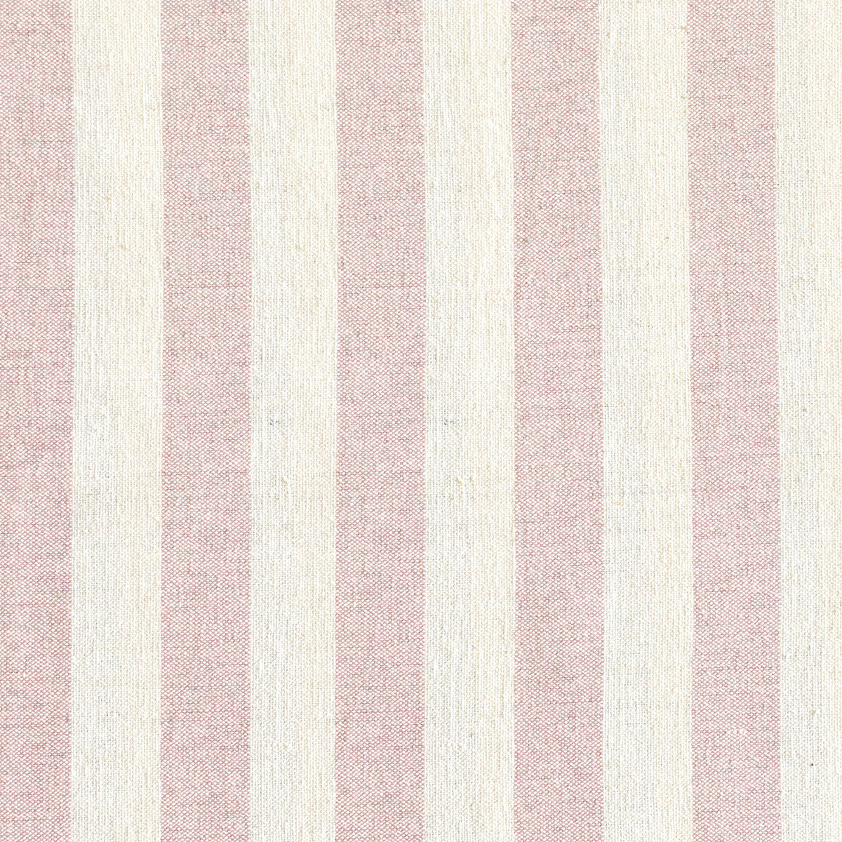 Pale Rose Ivory Wide Stripe Cotton – Double Width – 228L
