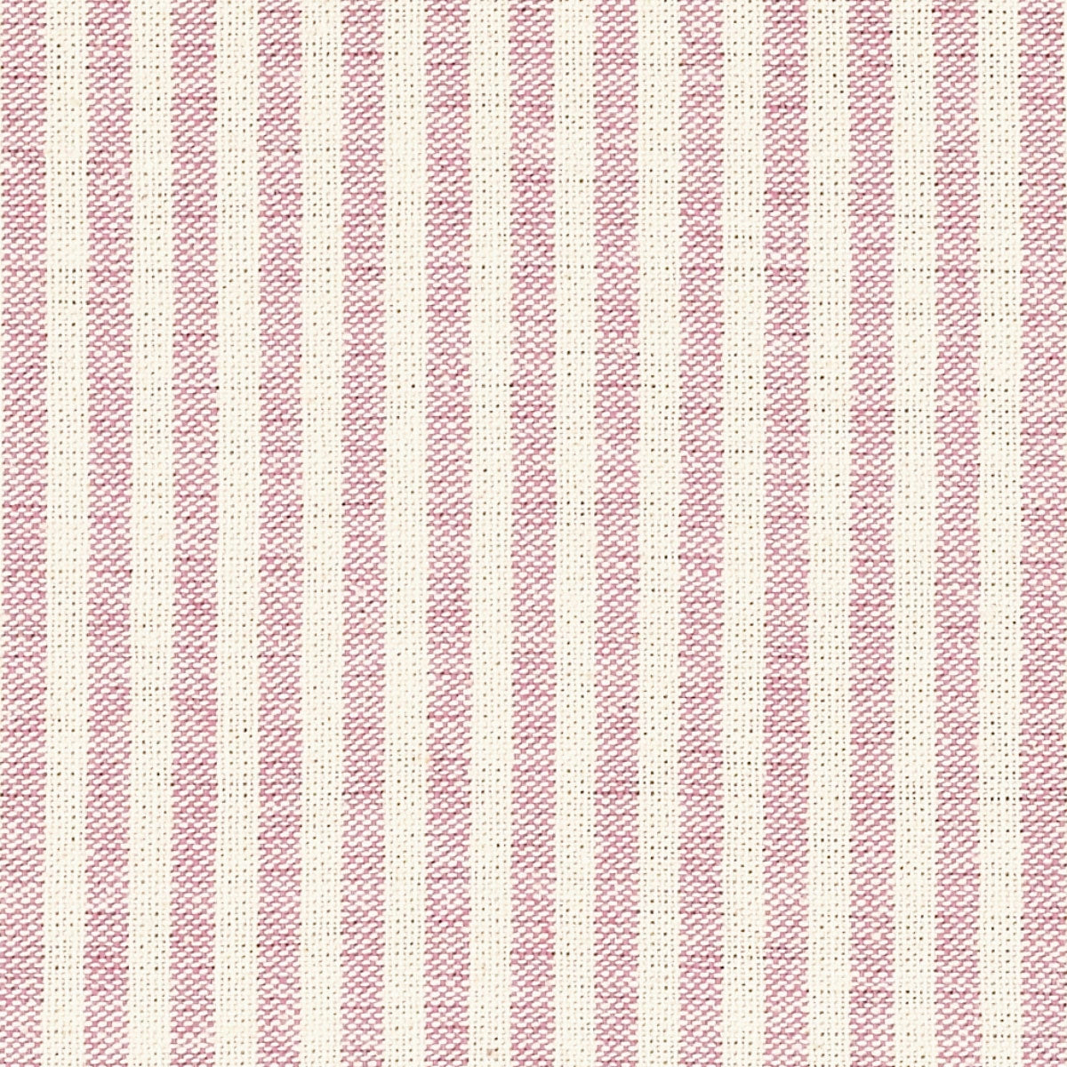 Swatch of Dusky Pink Ivory Stripe