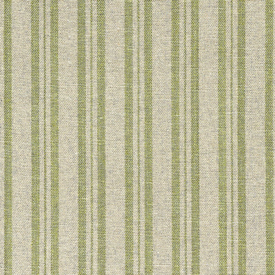Small Non Returnable Sample of Green Medium Ticking Stripe