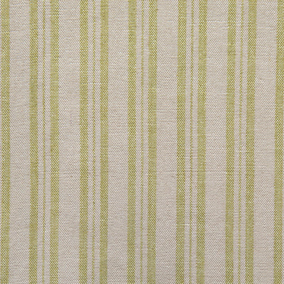 Small Non Returnable Sample of Summer Green Medium Ticking Stripe