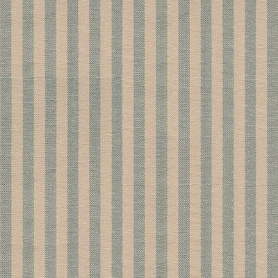 Swatch of French Blue/Natural Stripe