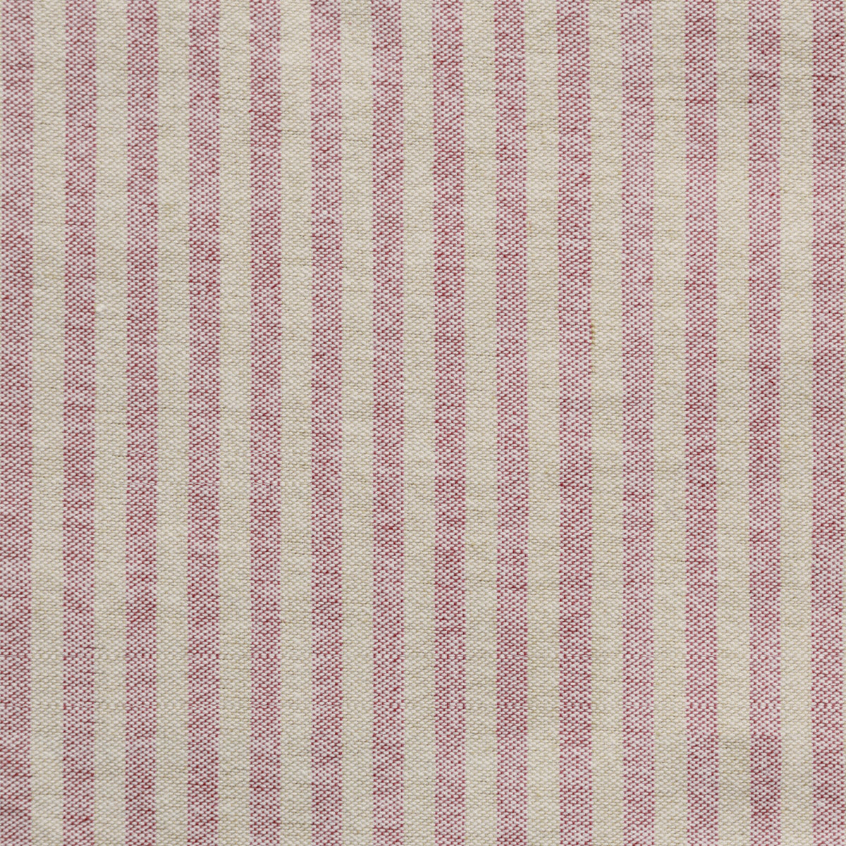 Small Non Returnable Sample of Rusty Rose Natural Stripe