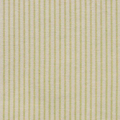 Large Sample of Summer Green Dimity Stripe
