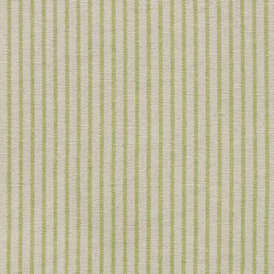 Small Non Returnable Sample of Parsley Dimity Stripe