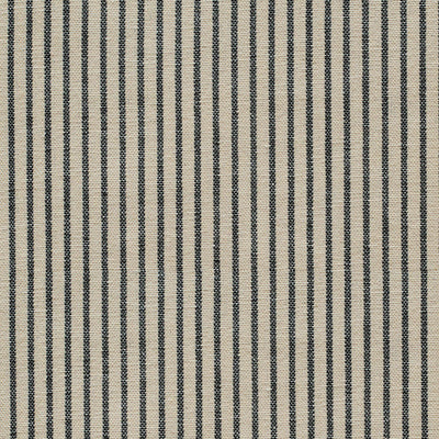 Swatch of Black Dimity Stripe