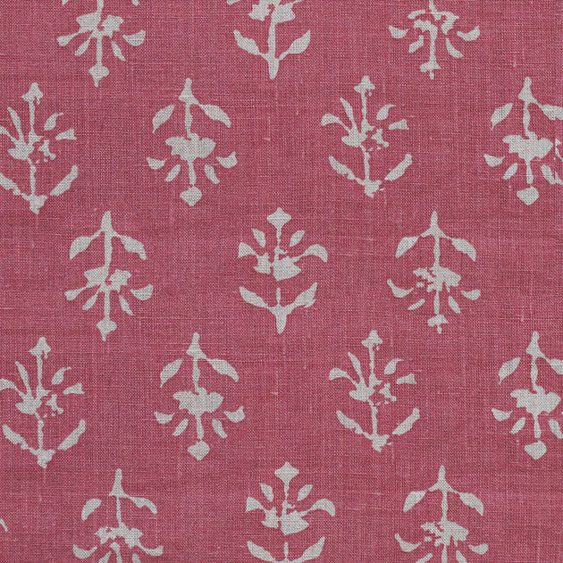 Large Returnable Sample of Indian Red Reverse Moonflower