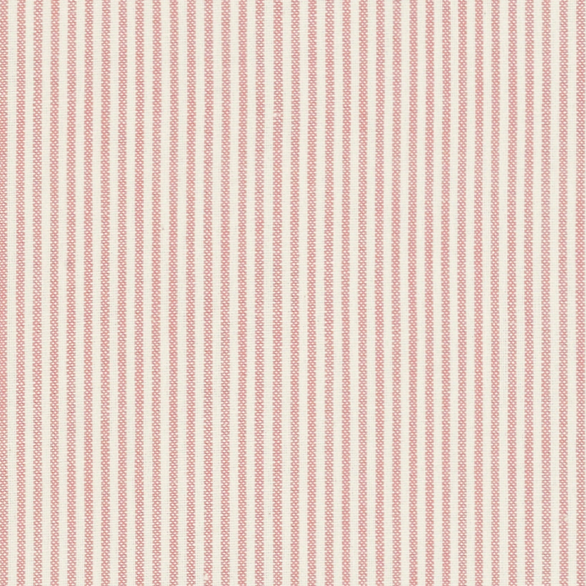 Swatch of Pink Piping Stripe
