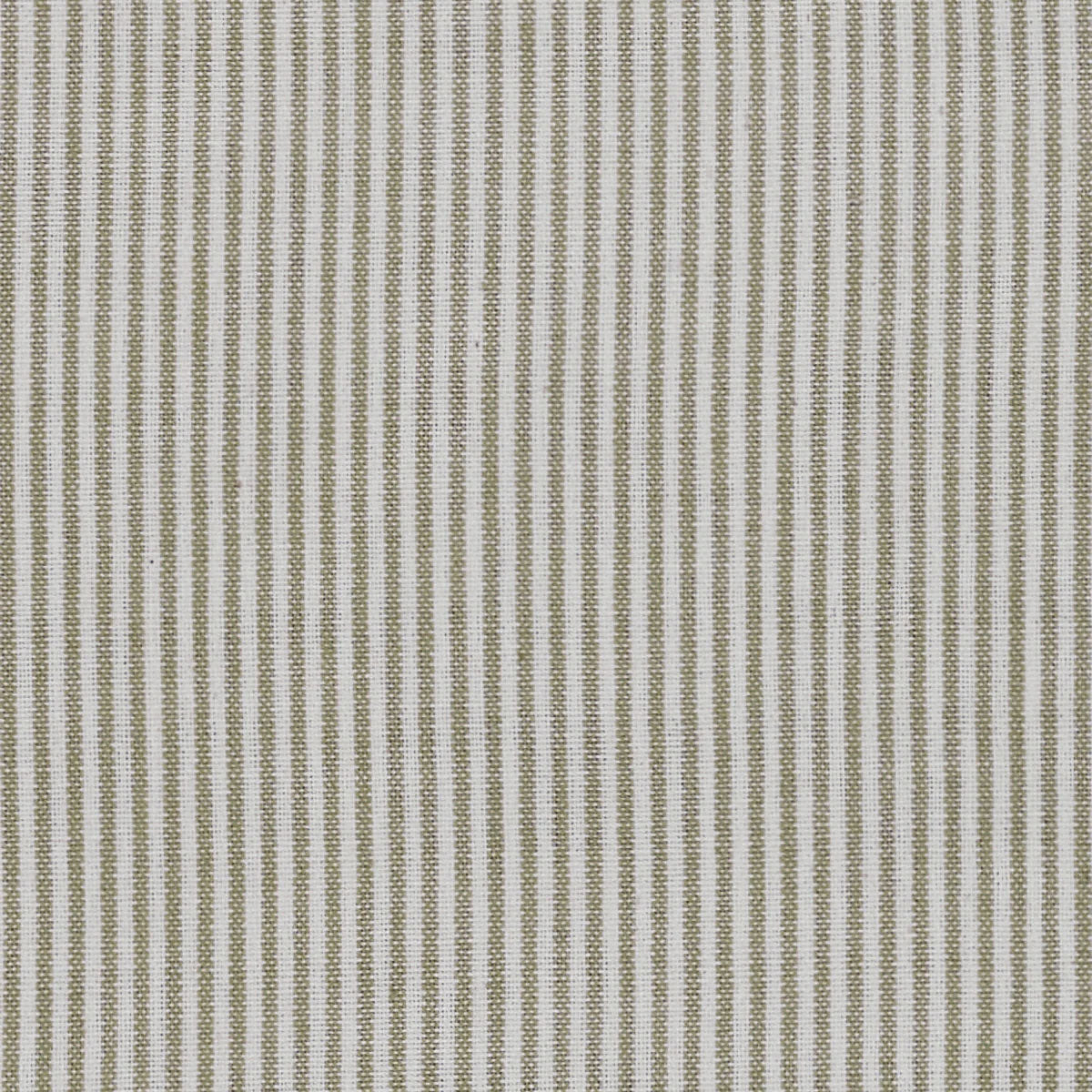 Olive Green Piping Stripe Cotton – Double Width – A30