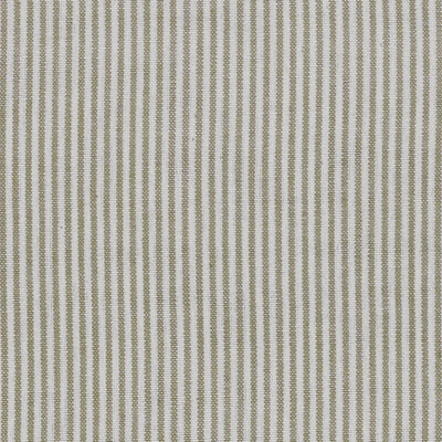 Olive Green Piping Stripe Cotton – Double Width – A30