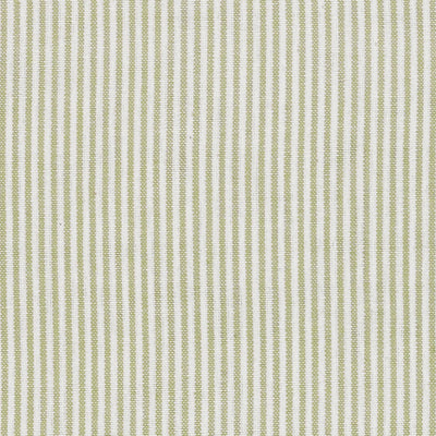 Olive Green Piping Stripe Cotton – Double Width – A30