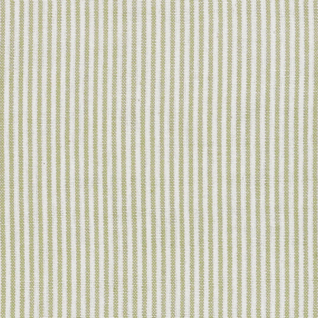 Olive Green Piping Stripe Cotton – Double Width – A30
