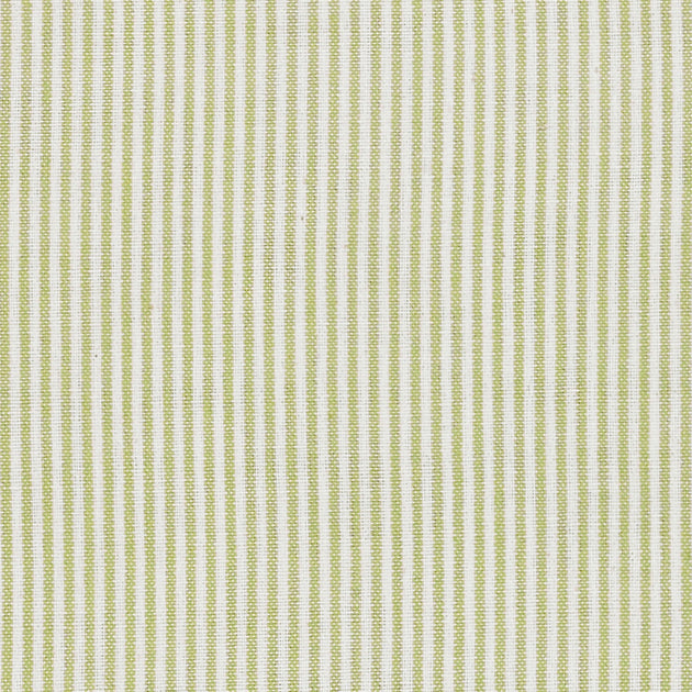 Swatch of Summer Green Piping Stripe