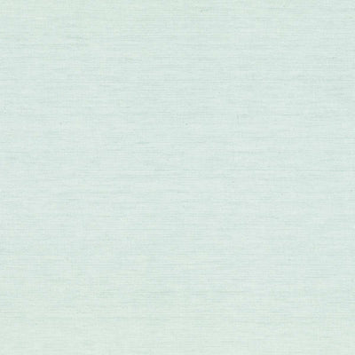 Small Non Returnable Sample of Duck Egg Thickweave Cotton