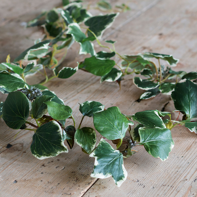 French Ivy Garland