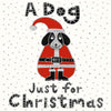 Dog for Christmas Card (pack of 6)