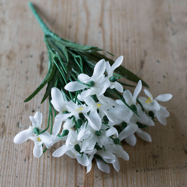 Snowdrop Bunch