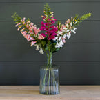 Foxglove Bunch FB32