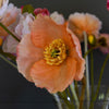 Mixed Poppy Bunch