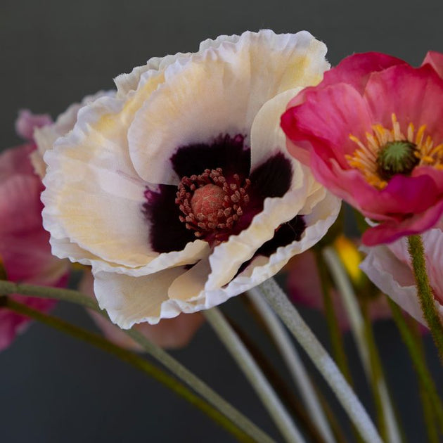 Mixed Poppy Bunch