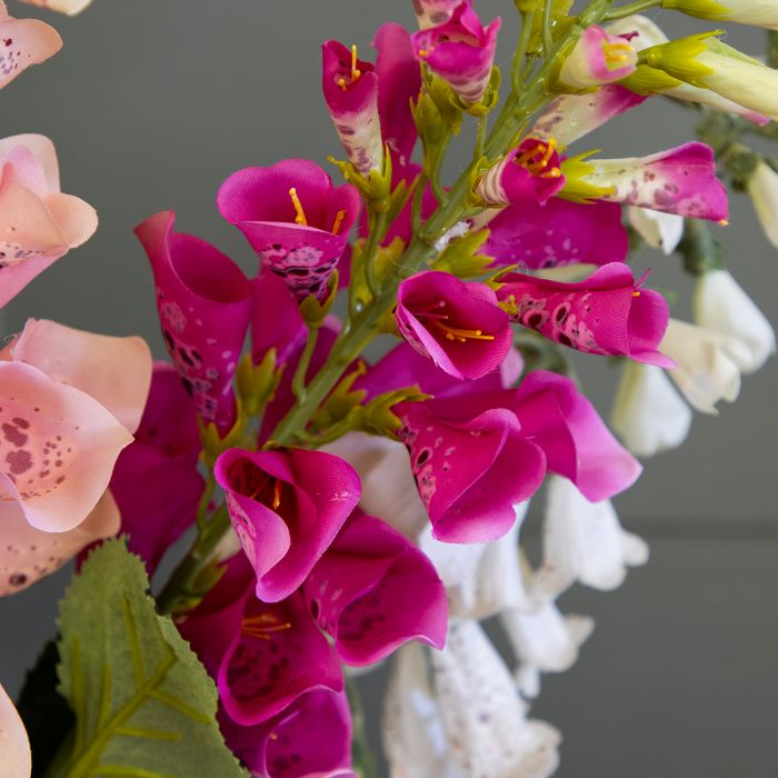 Foxglove Bunch FB32