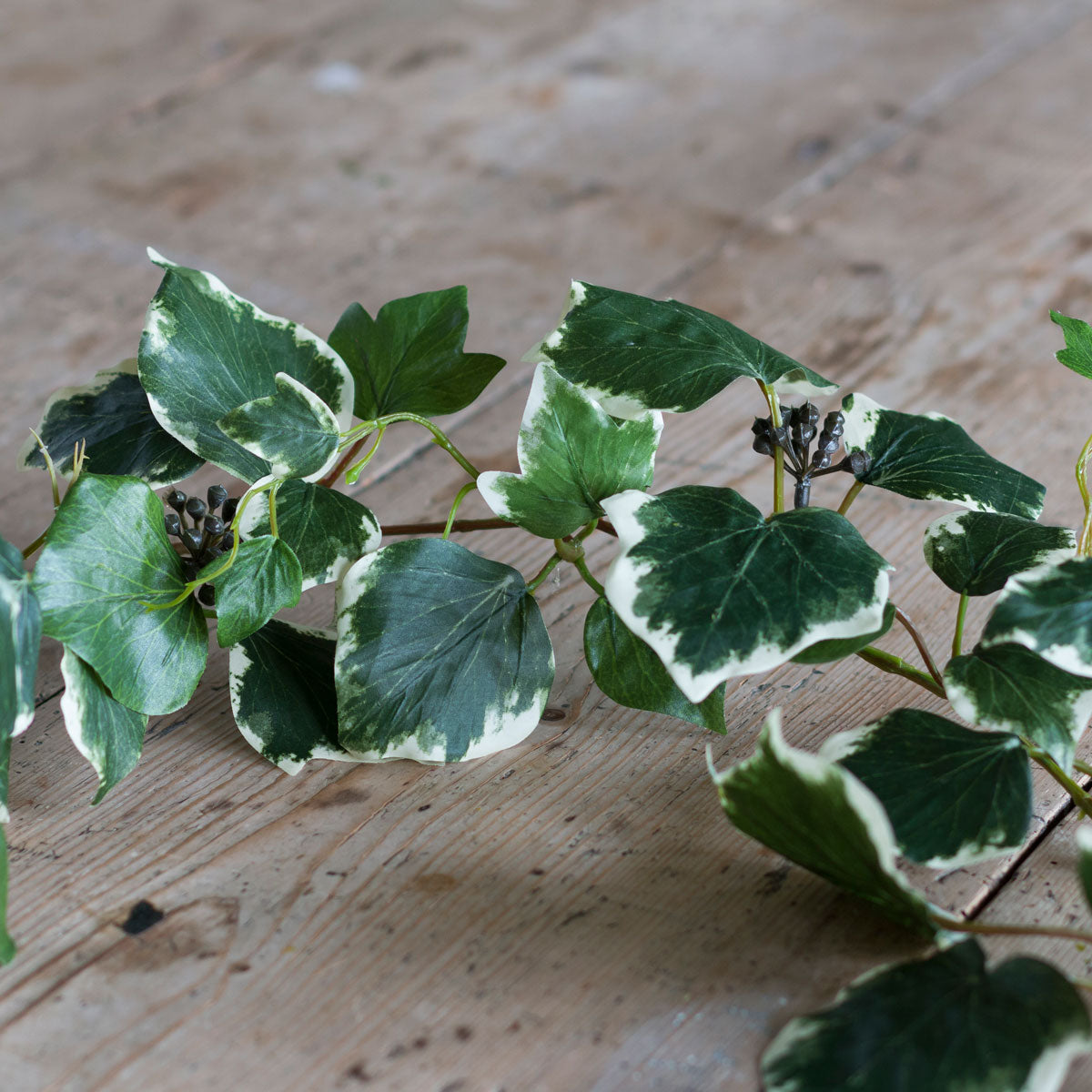 Ivy &amp; Rosehip Garland