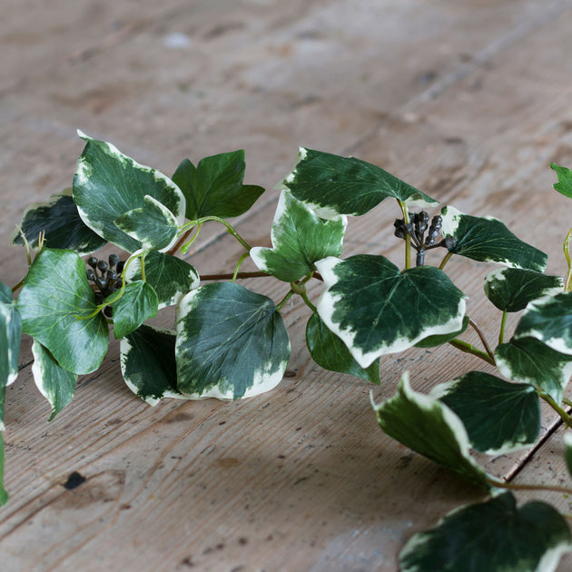 Ivy & Rosehip Garland