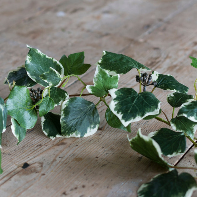 French Ivy Garland