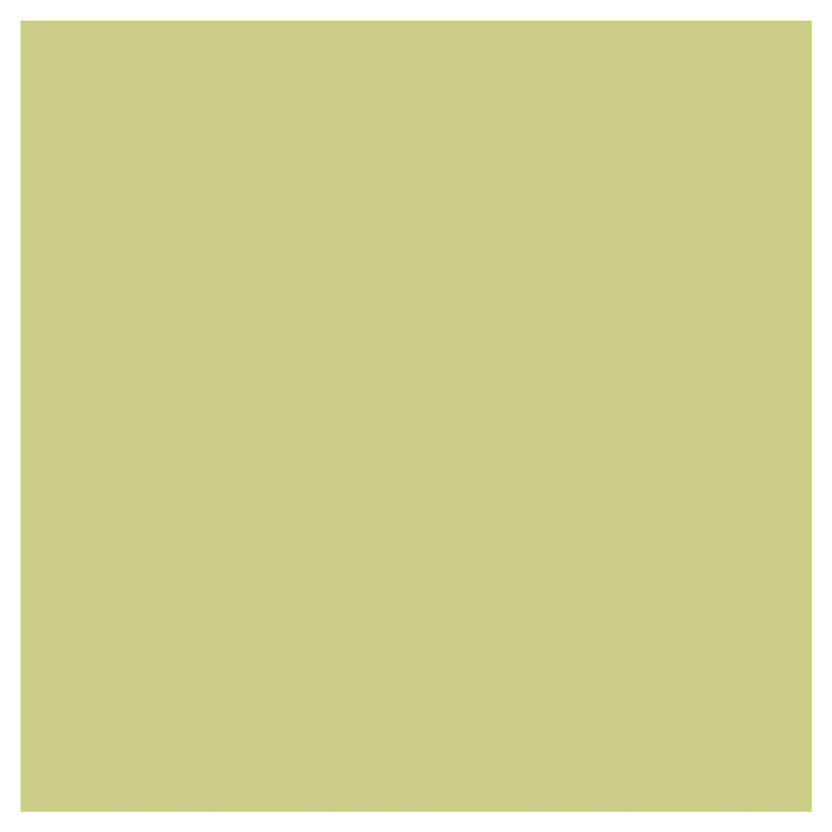 Lytton Green Emulsion Sample Pot