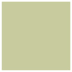 Olive Grove Emulsion Sample Pot