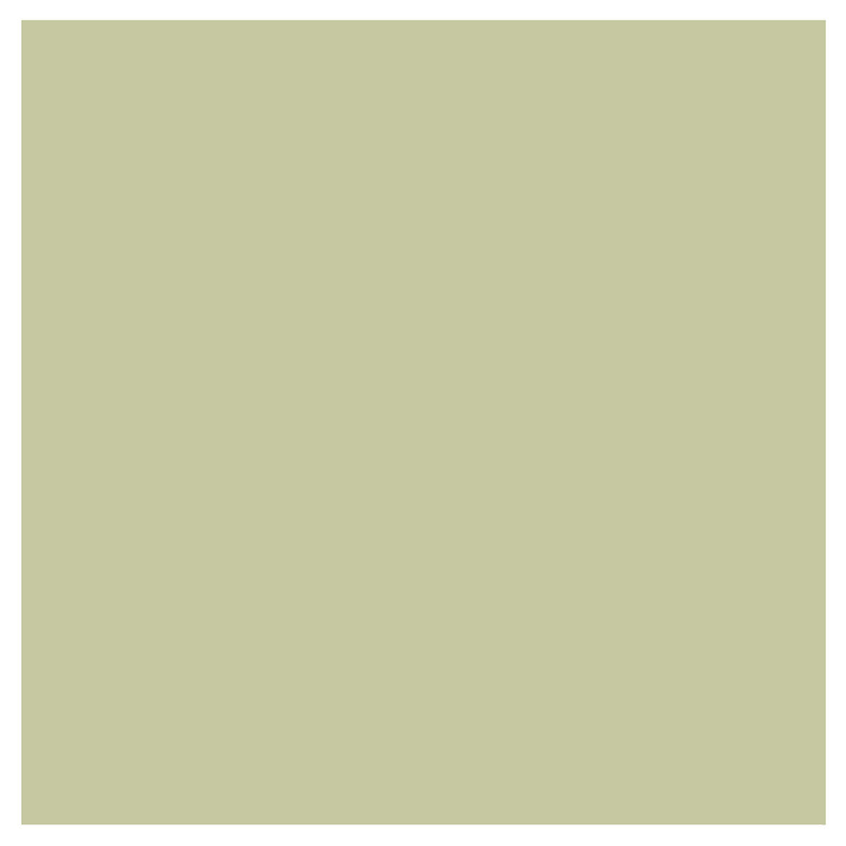Olive Grove Paint