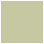 Olive Grove Paint