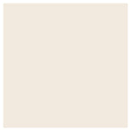 Ivory Paint