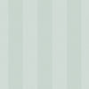 Duck Egg Wide Stripe Wallpaper