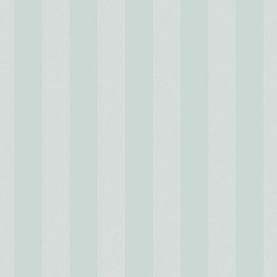 Large Sample of Duck Egg Wide Stripe