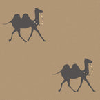 Sample of Charcoal Pushkar