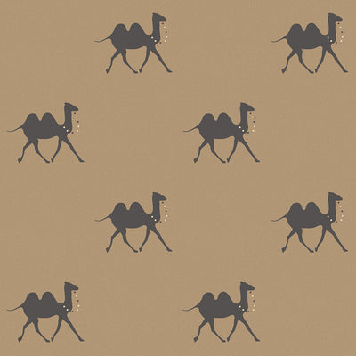 Non Returnable Sample of Pushkar Wallpaper